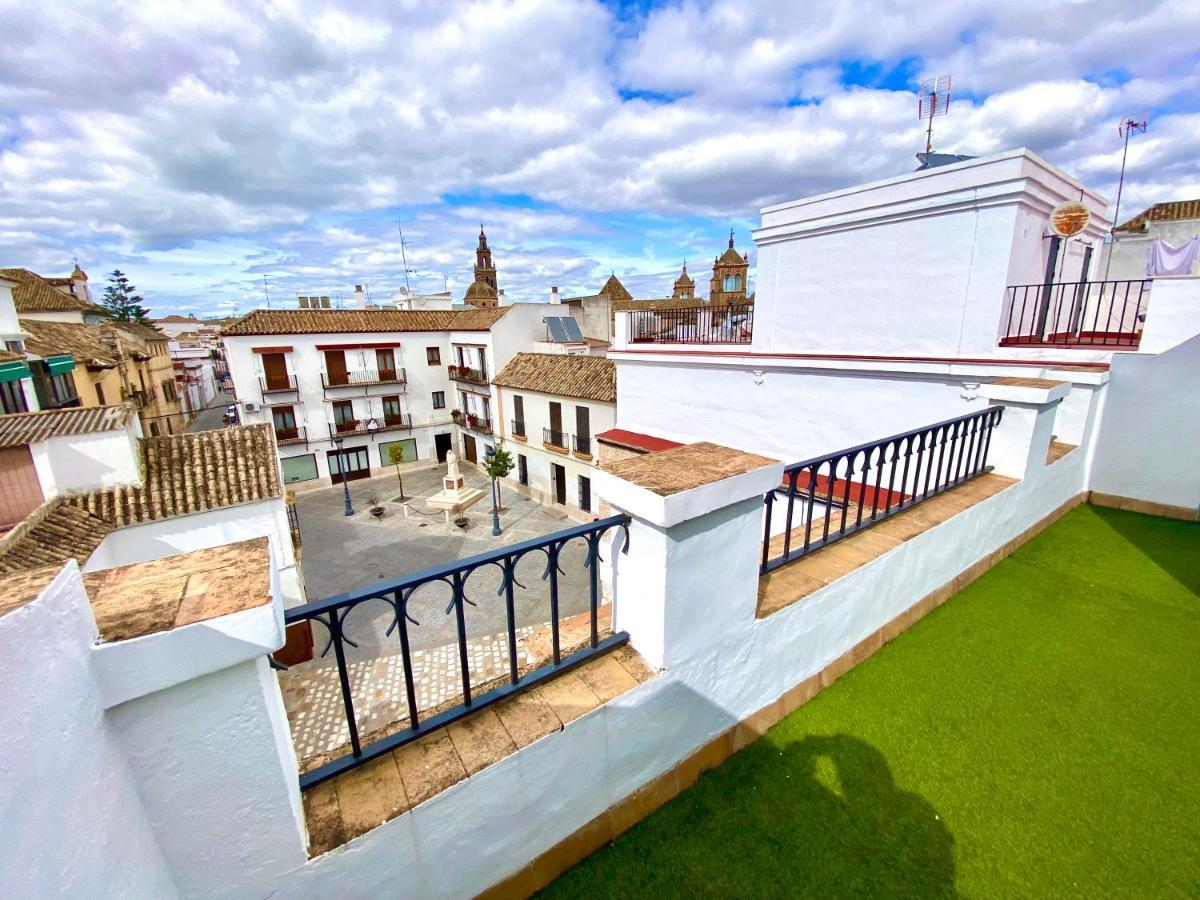 Duplex Centro *